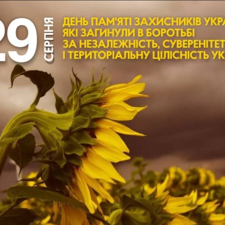 Соняхи пам’яті: 29 серпня Україна вшановує полеглих Захисників і Захисниць
